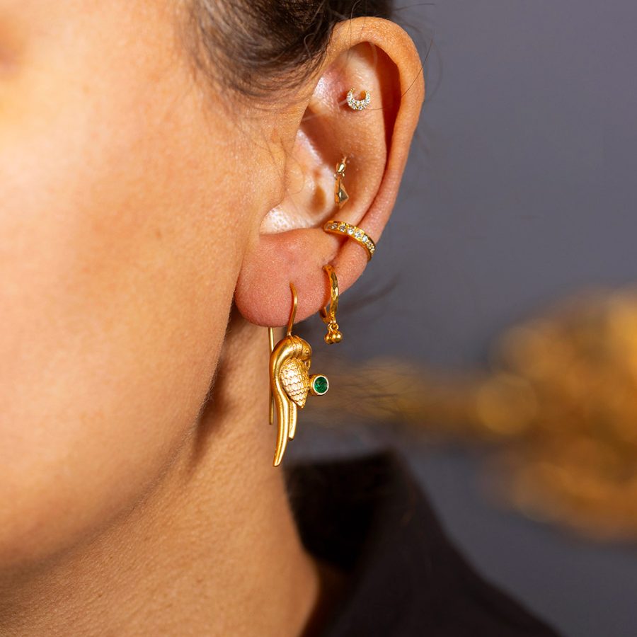 Heritage Parrot Earrings